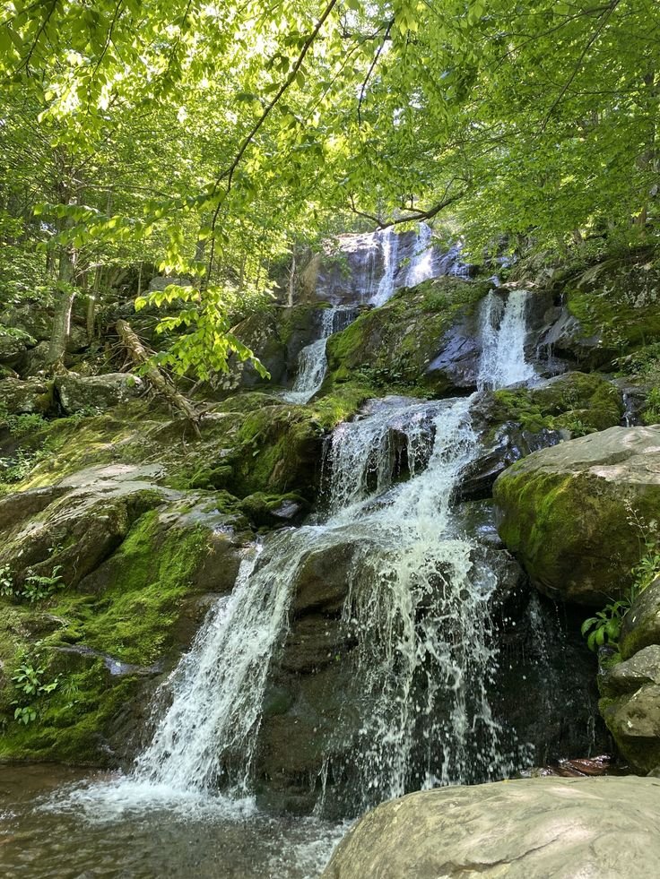 This may contain: a small waterfall in the middle of a forest
