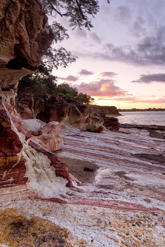 This may contain: the beach is covered in colorful rocks and sand at sunset, with trees growing out of them