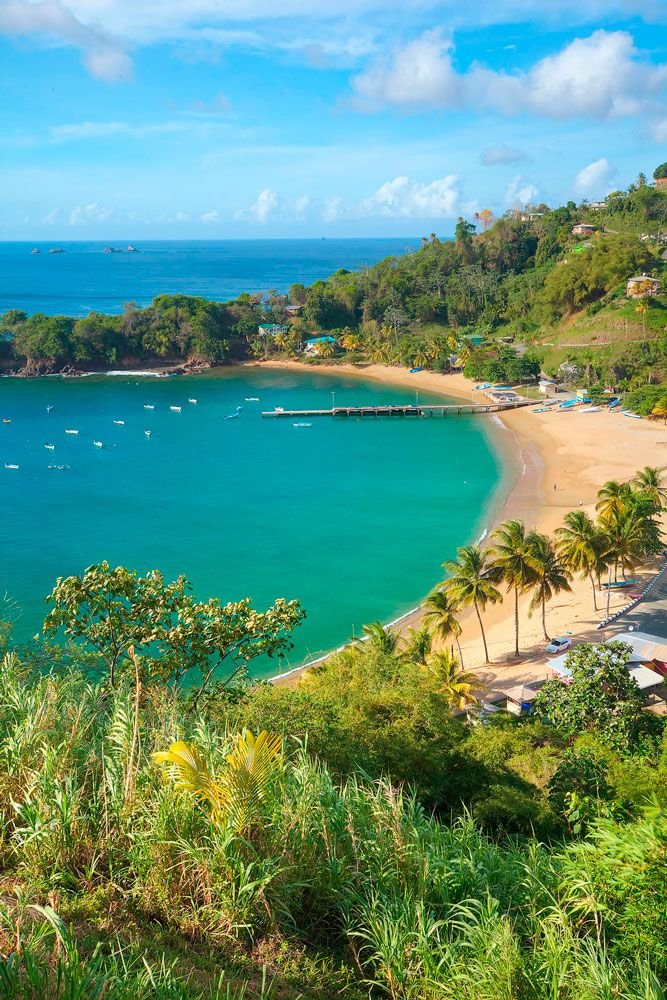This may contain: the beach is surrounded by palm trees and blue water with boats floating in the ocean