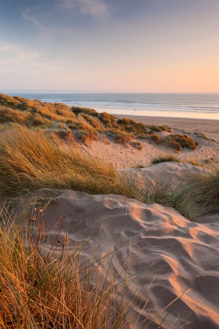 This may contain: sand dunes with grass growing out of them and the ocean in the background at sunset