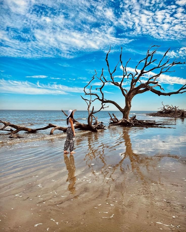 This may contain: a woman is standing in the water next to a tree that has been washed ashore