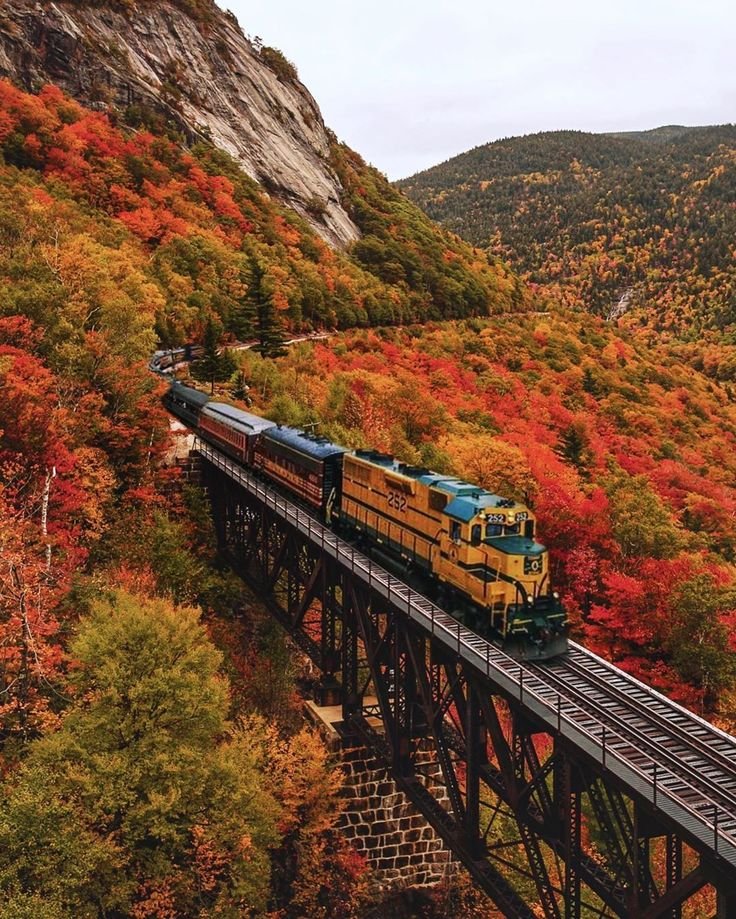 This may contain: a train traveling over a bridge surrounded by fall colored trees in the mountains and hills