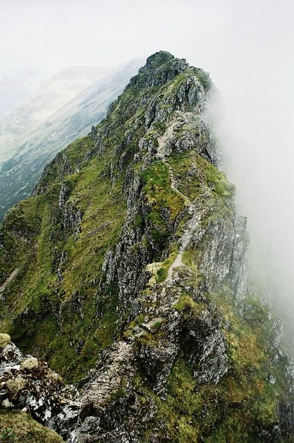 This may contain: an animal standing on the side of a mountain with fog in the air behind it
