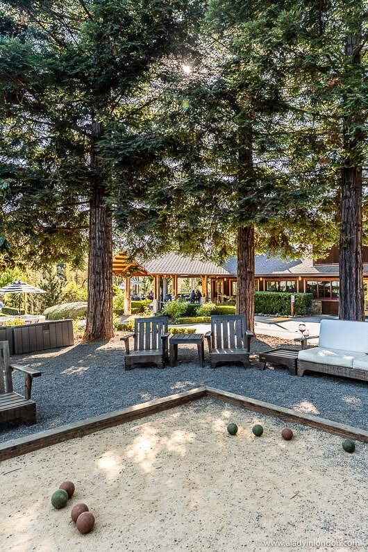 This may contain: an outdoor area with chairs, tables and balls in the sand near some pine trees