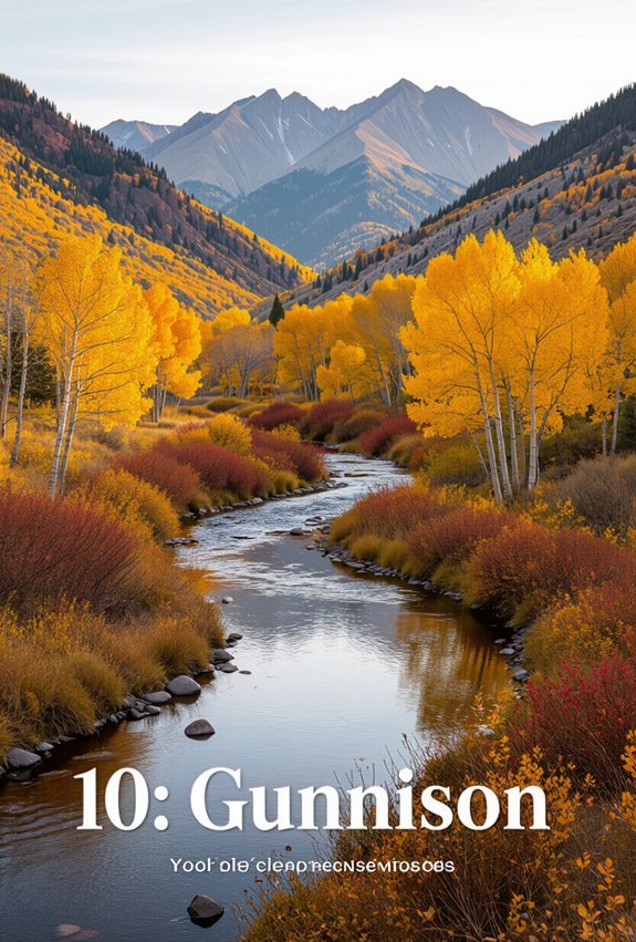 golden aspens and scenic views